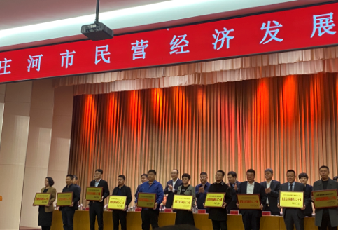 大連華韓榮獲民營經濟納稅、民營經濟科研投入20強2個獎項